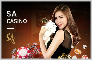 Đặt cược và theo dõi Đá Gà